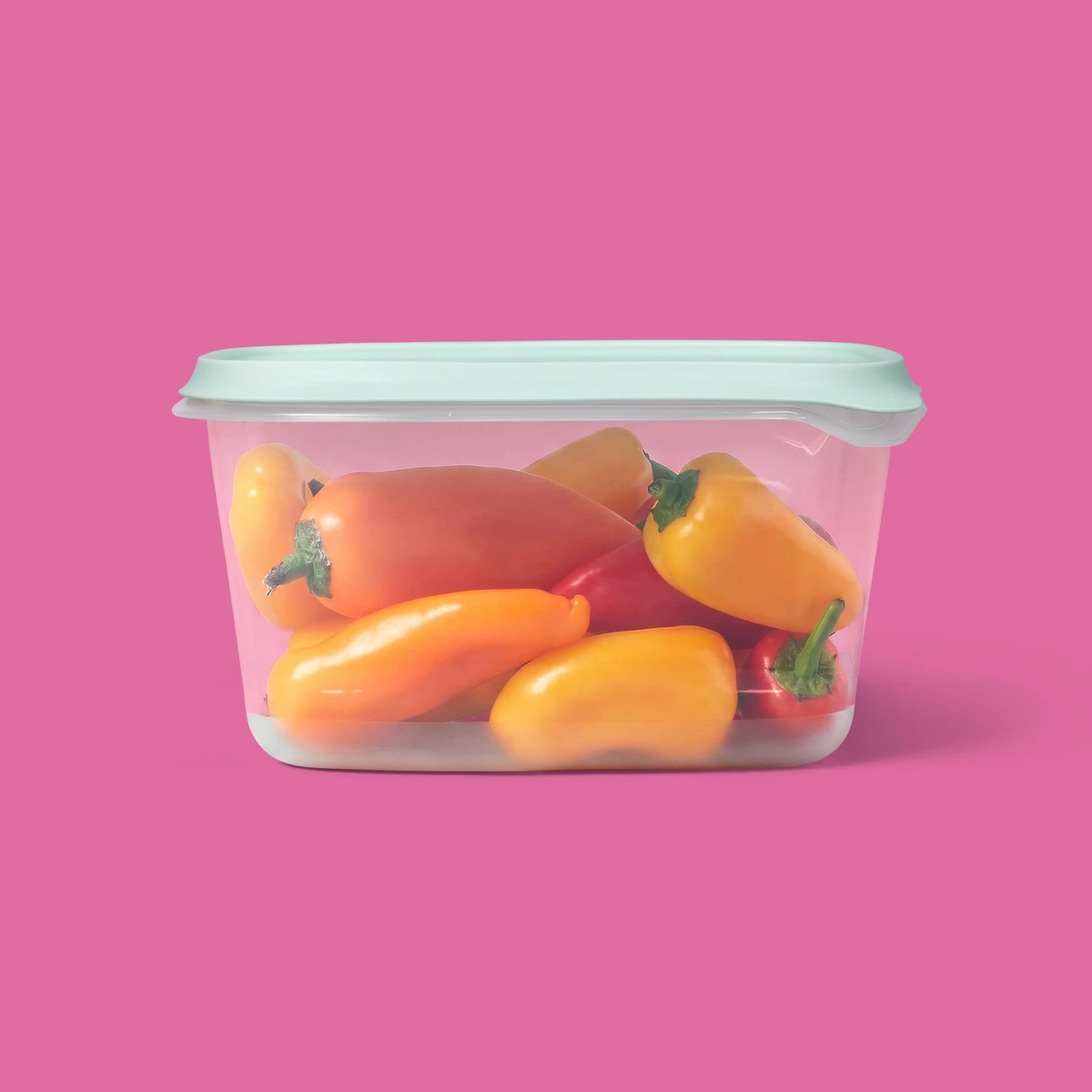 2026 Yeni 2'li Paket 48oz Büyü - Food Storage Freezer incelemesi ve fiyatı